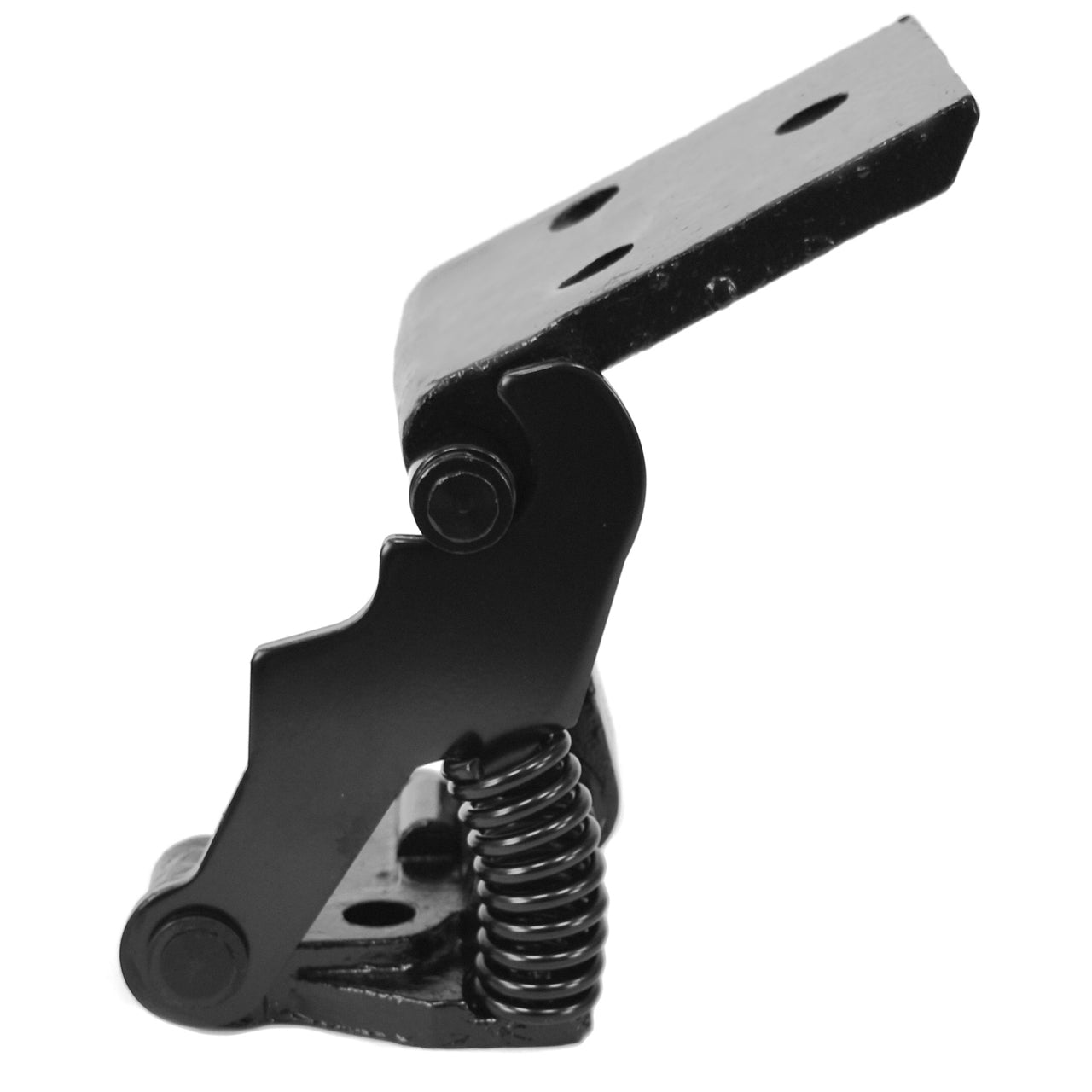 Lower Door Hinge | LH or RH | 1965-66 Ford Mustang